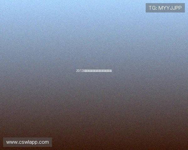 2013年亚冠联赛沙特双雄联手挺进八强引关注